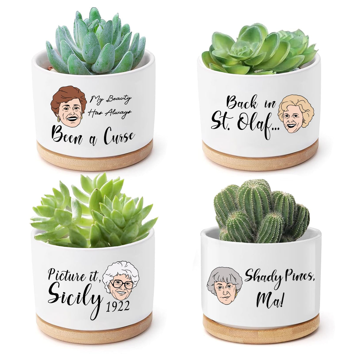 Mikopei Golden Girls mini planter featuring Dorothy quote for desks