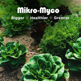 Lush green plants supported by Mikro-Myco enriching soil microbiome.