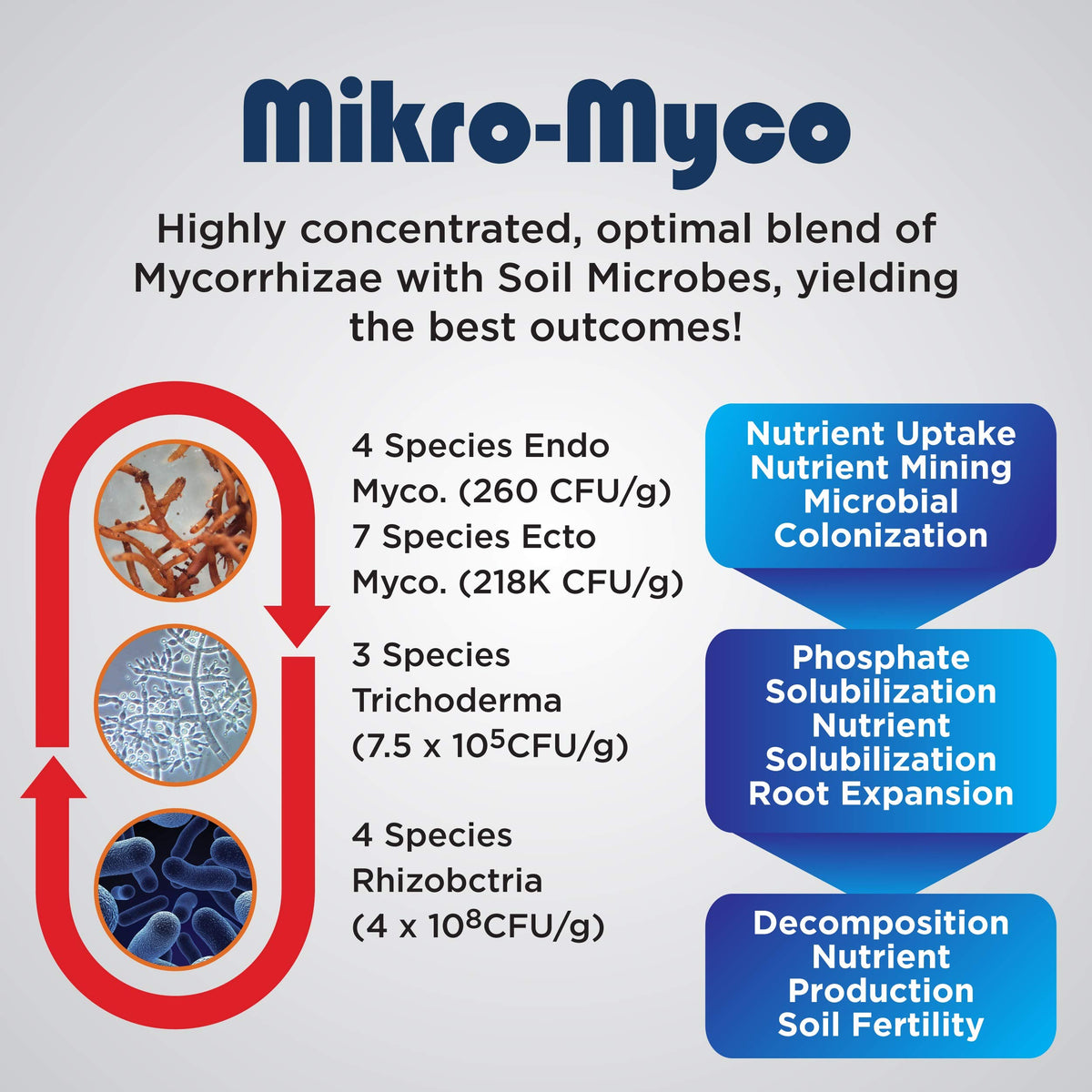 Healthy root system with Mikro-Myco expanding nutrient access.
