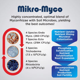 Healthy root system with Mikro-Myco expanding nutrient access.