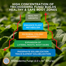 Healthy root hairs thriving with Mikro-Root’s growth boost.