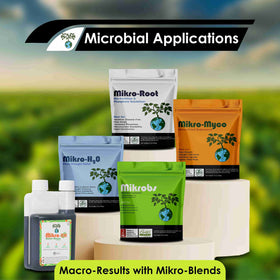 Soil enriched by Mikro-Root for phosphate solubilization and micronutrient uptake.