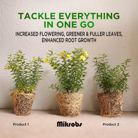 Mikrobs root growth image showing stronger roots and improved nutrient uptake