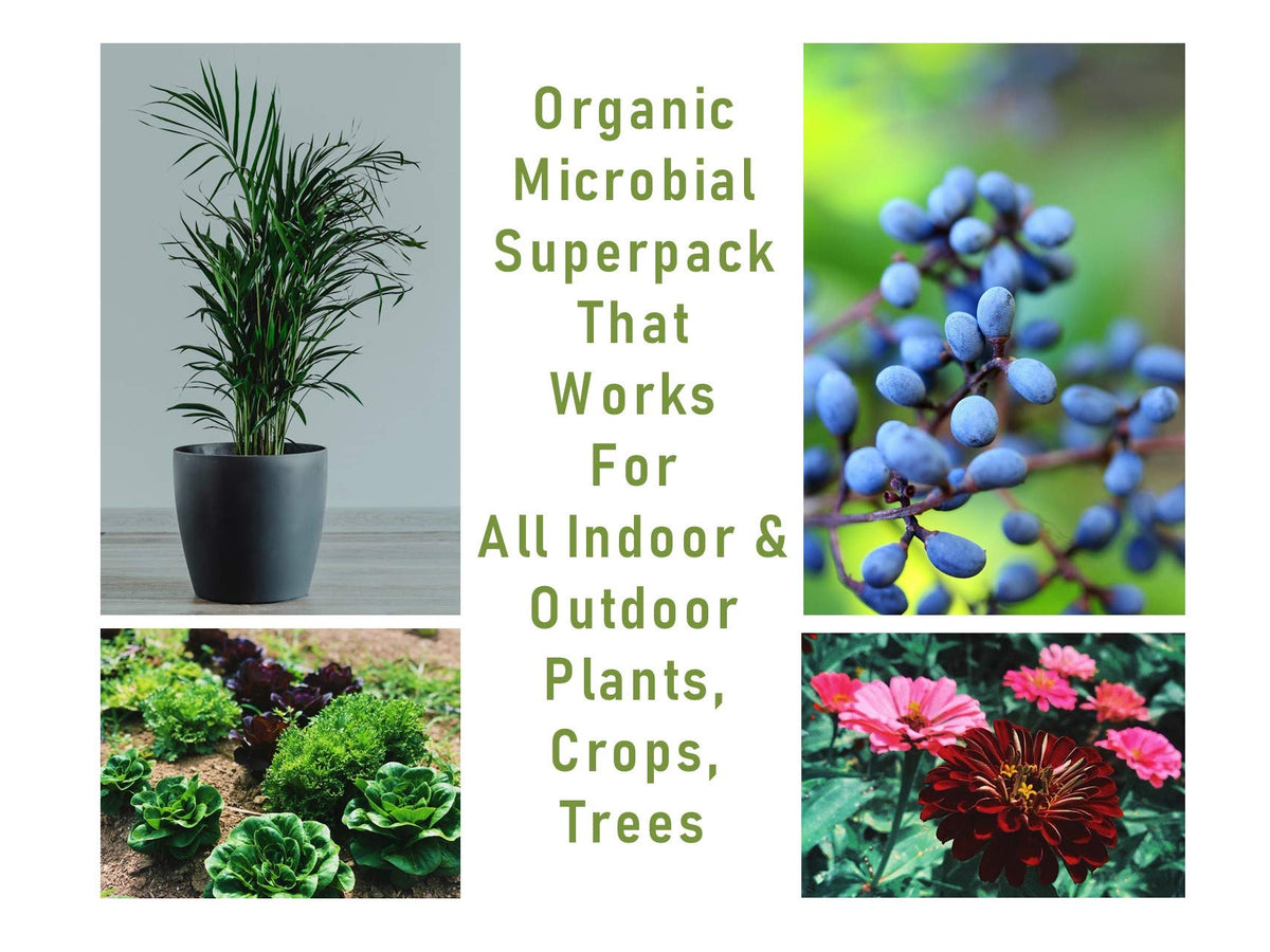 Mikrobs made in the USA pack emphasizing local manufacturing and quality control