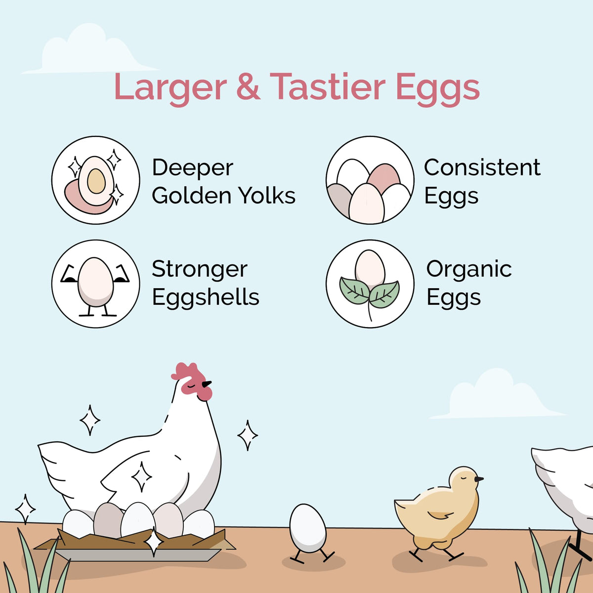 Mile Four Chick Grit Layer Grower 50lb bag for older chicks aids nutrient processing.