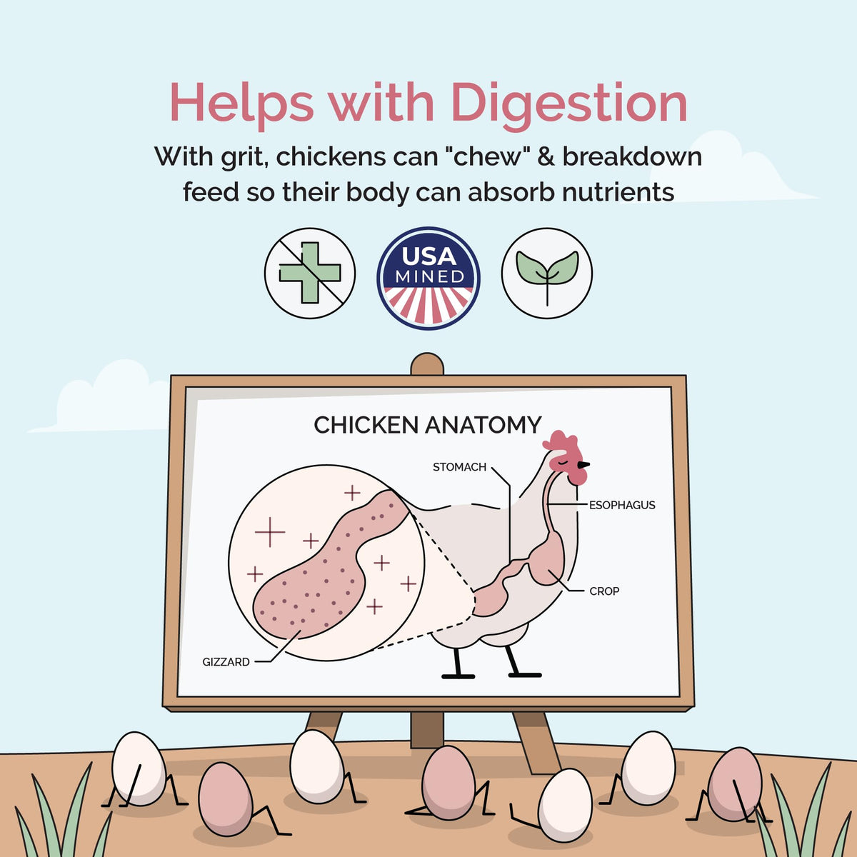 Mile Four Digestive Aid Chick Grit 50lb bag supports feed breakdown and intake.