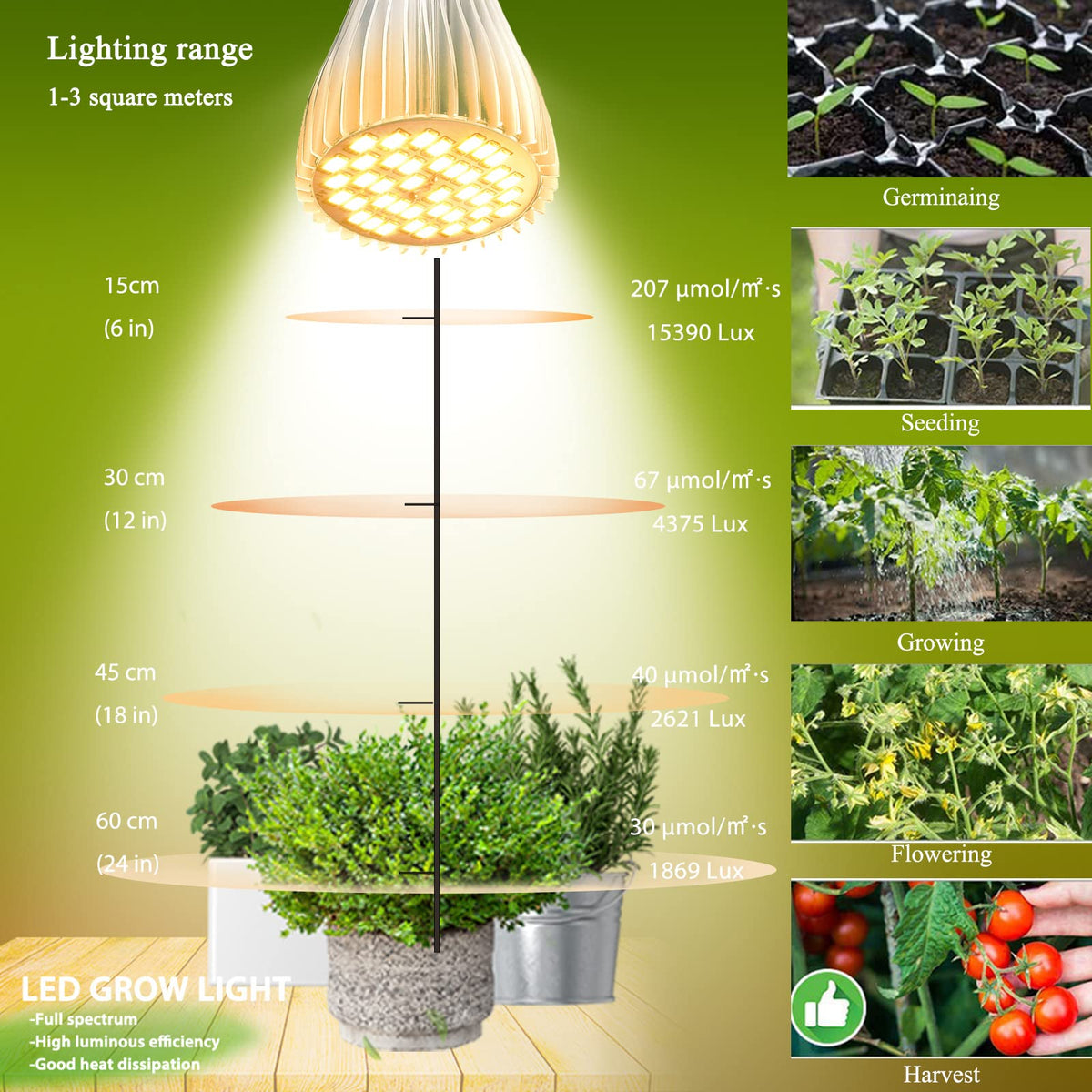 MILYN 30W full-spectrum LED grow bulb delivering uniform seedling illumination.