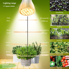 MILYN 30W full-spectrum LED grow bulb delivering uniform seedling illumination.