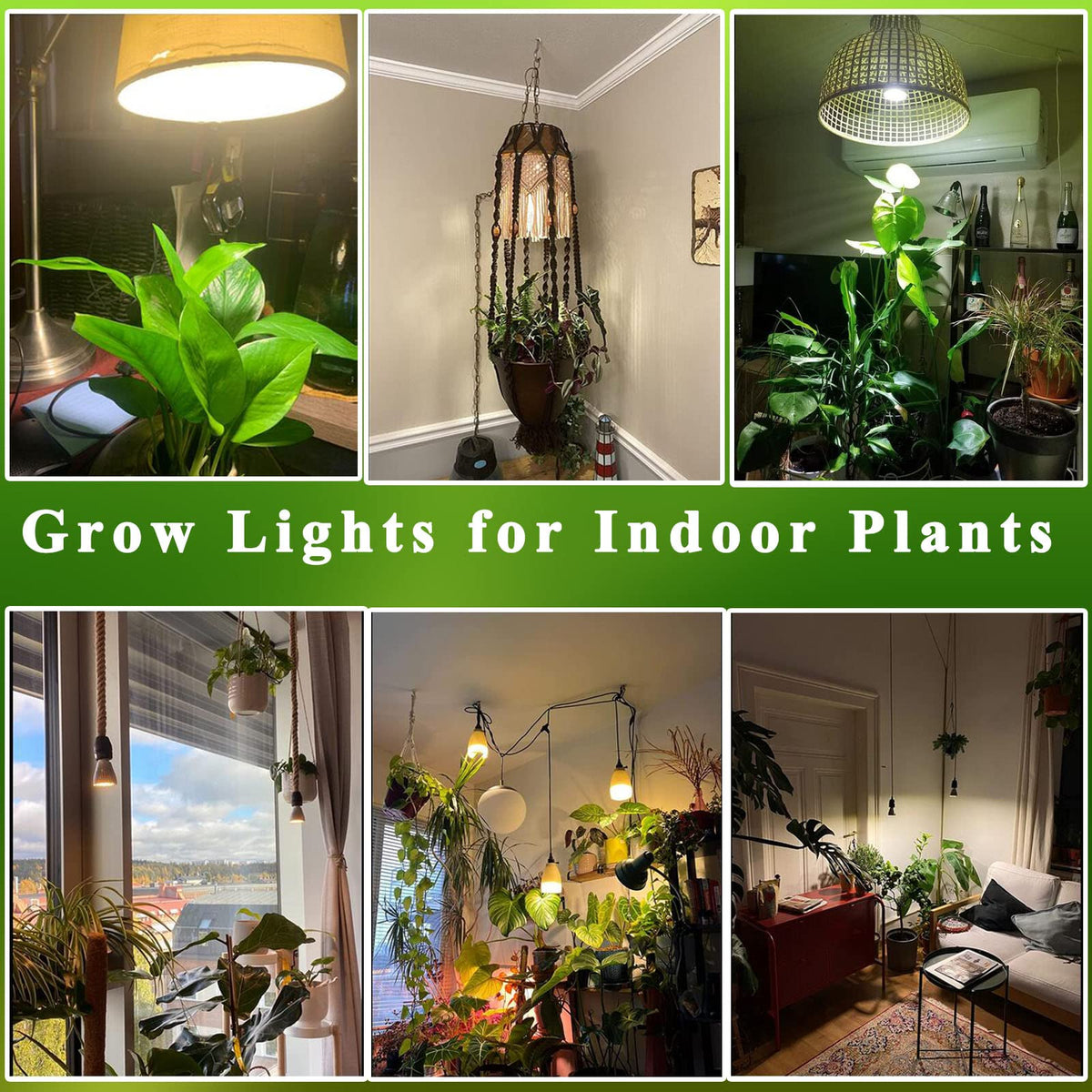 MILYN coverage up to 2-3 sq ft for compact indoor setups.