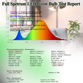 MILYN warm LED grow light provides natural ambience for indoor plants.