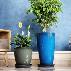 MinCHI257 easy move plastic planter highlighting its portability for rearranging.