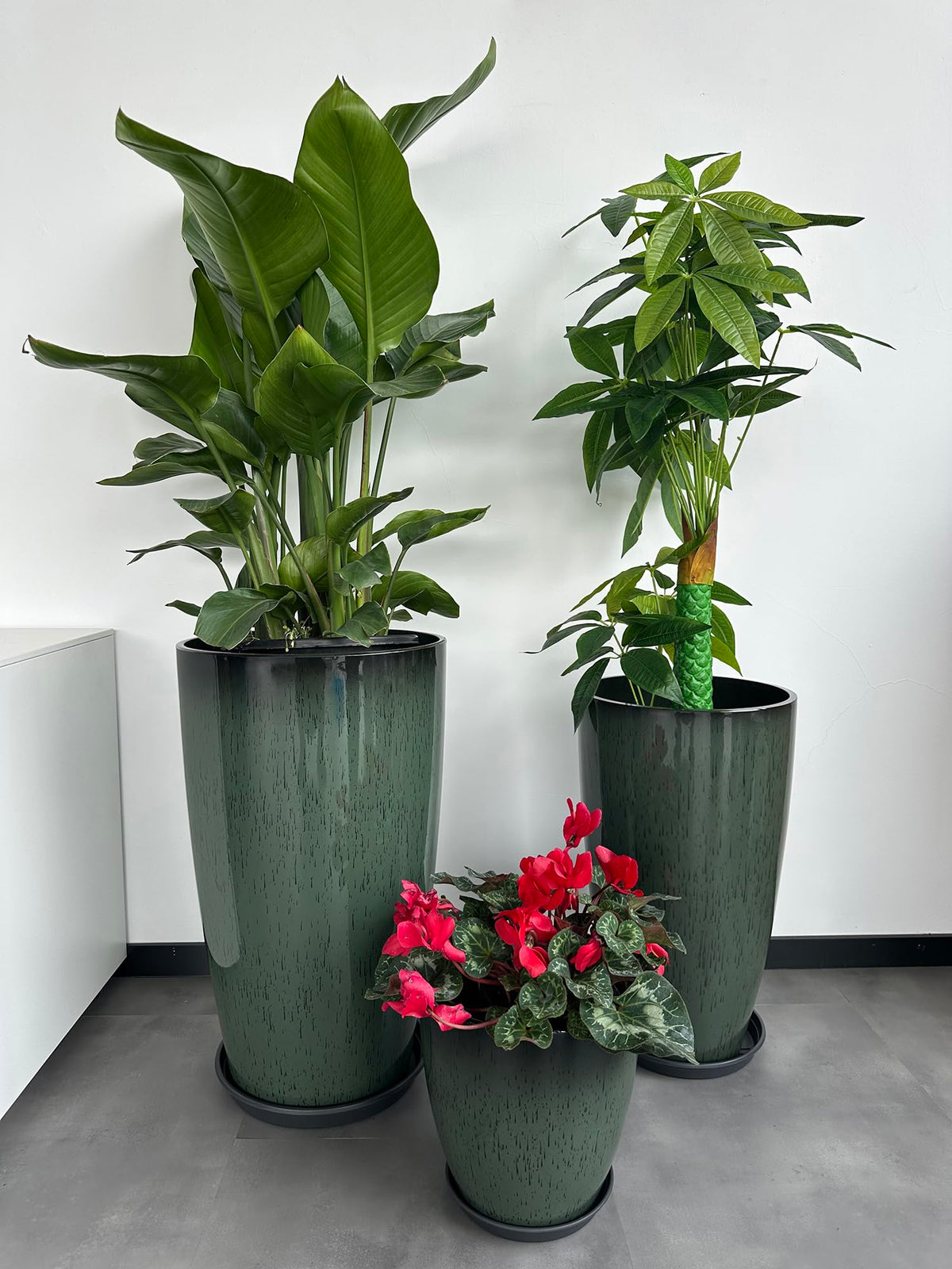 MinCHI257 indoor outdoor decor setup shown in a flexible living space.
