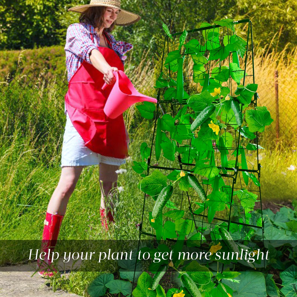 MINGRI included accessories and stakes simplify installation and plant support.