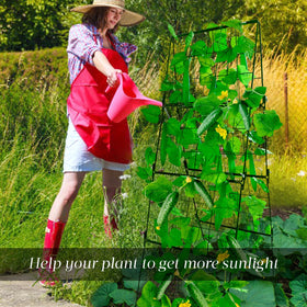 MINGRI included accessories and stakes simplify installation and plant support.