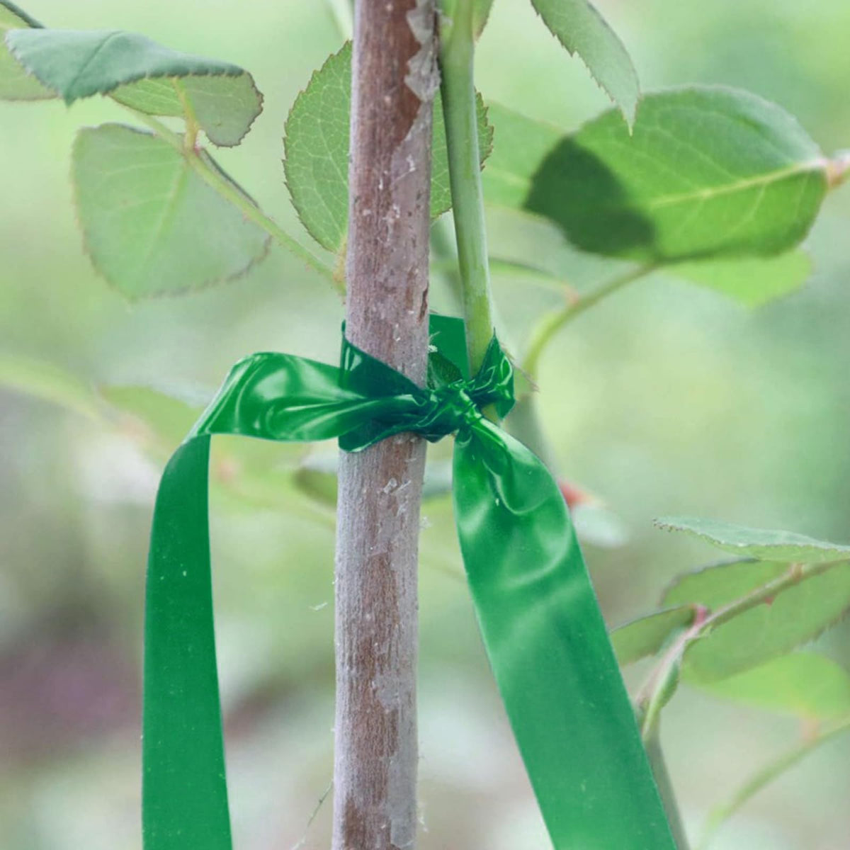 MINGRI durable grafting tape for flexible garden growth