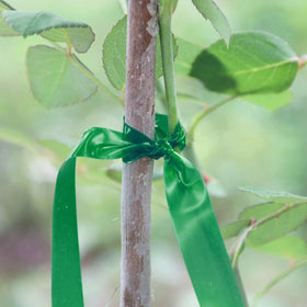 MINGRI durable grafting tape for flexible garden growth