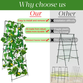 MINGRI vegetable trellis supports cucumbers, tomatoes, and peas in raised beds.