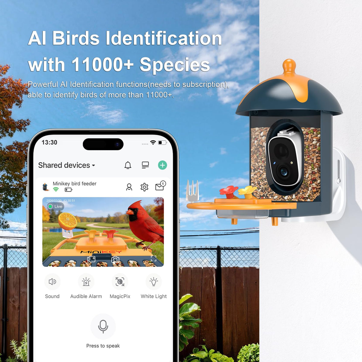 Minikey 2K birdwatching wide-angle view capturing flock activity