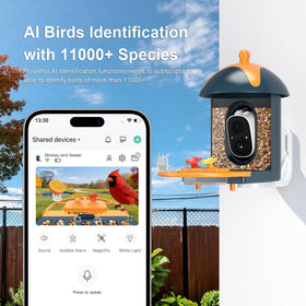 Minikey 2K birdwatching wide-angle view capturing flock activity
