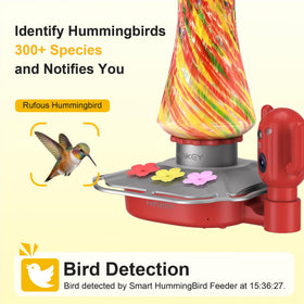 Close-up of 4MP lens on Minikey feeder capturing vivid garden visits