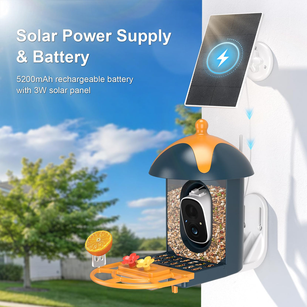 Minikey night vision captures clear birds after dark