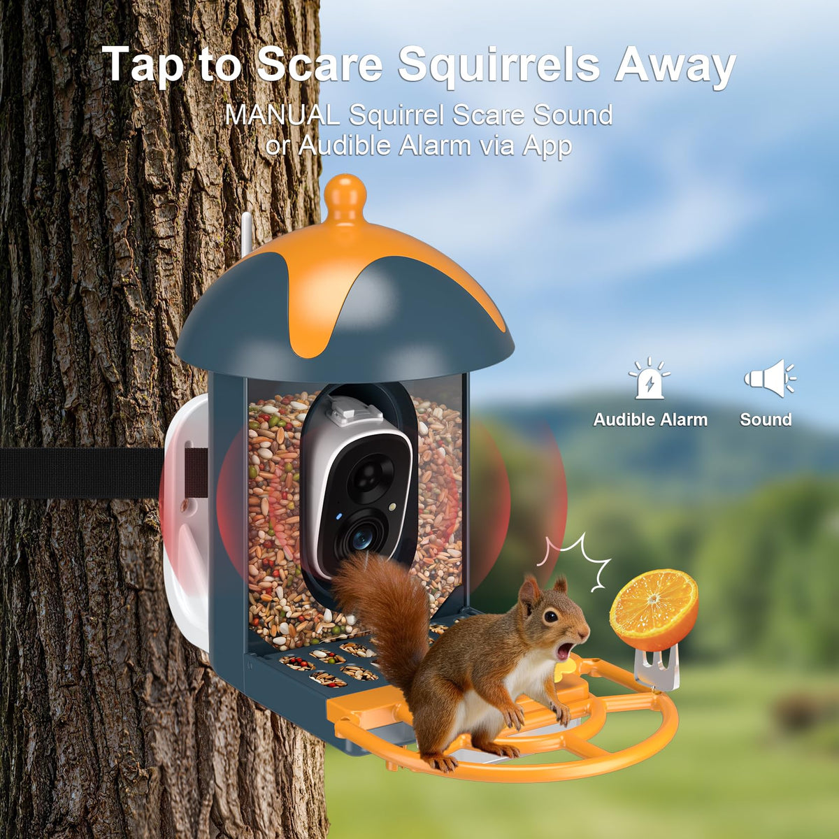 Minikey app sends real time alerts for bird visits