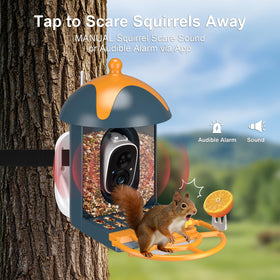 Minikey app sends real time alerts for bird visits