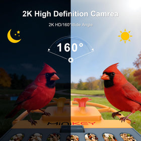 Minikey solar powered feeder with long lasting battery