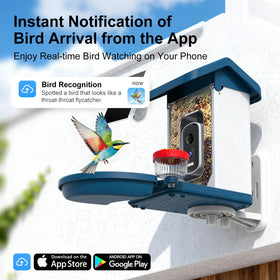 MINIXTEC live alerts keep you connected as birds visit your feeder.