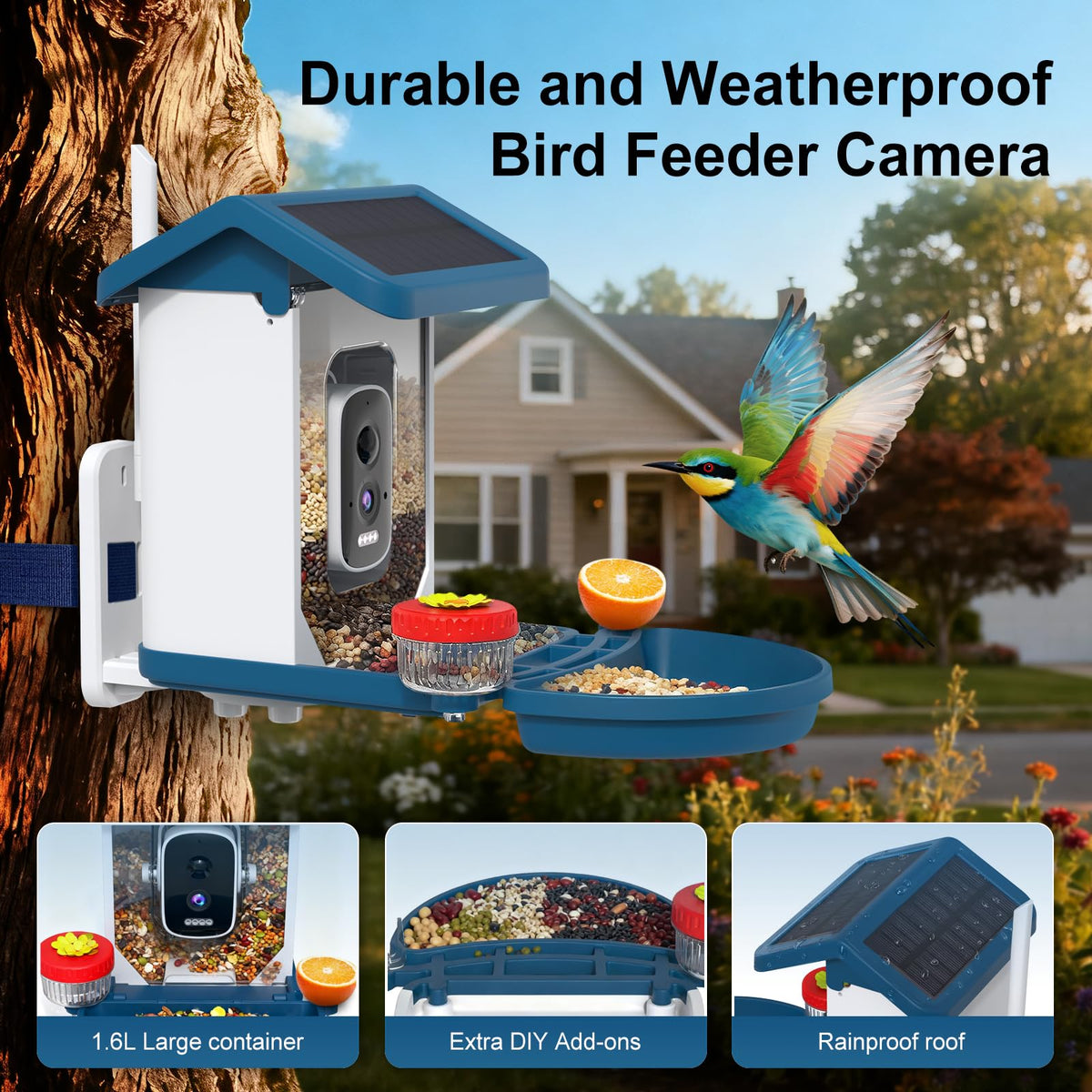 MINIXTEC smart bird feeder video 4K capture for vivid backyard wildlife footage.