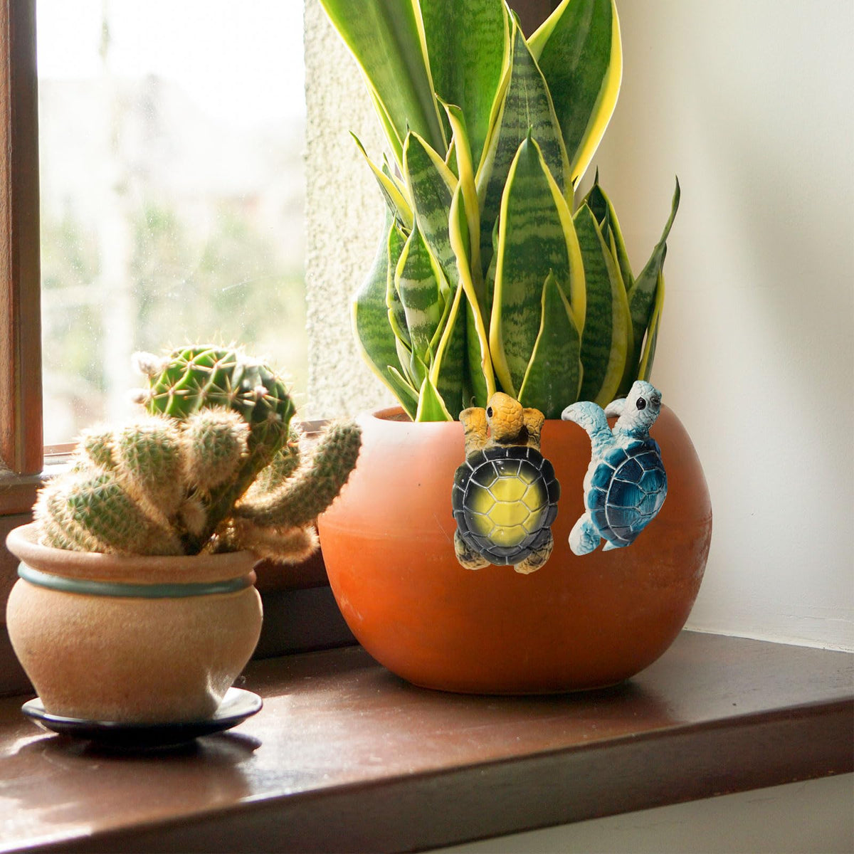 MinrzPet gift-ready turtle decor packaged in eco-friendly cardboard.