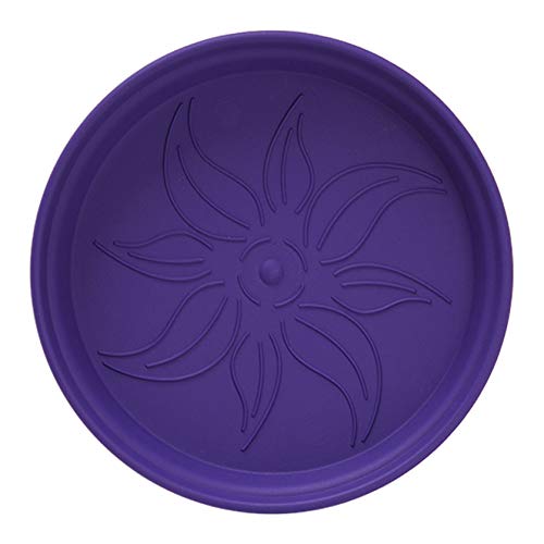 Mintra decorative planters on porch or windowsill for curb appeal