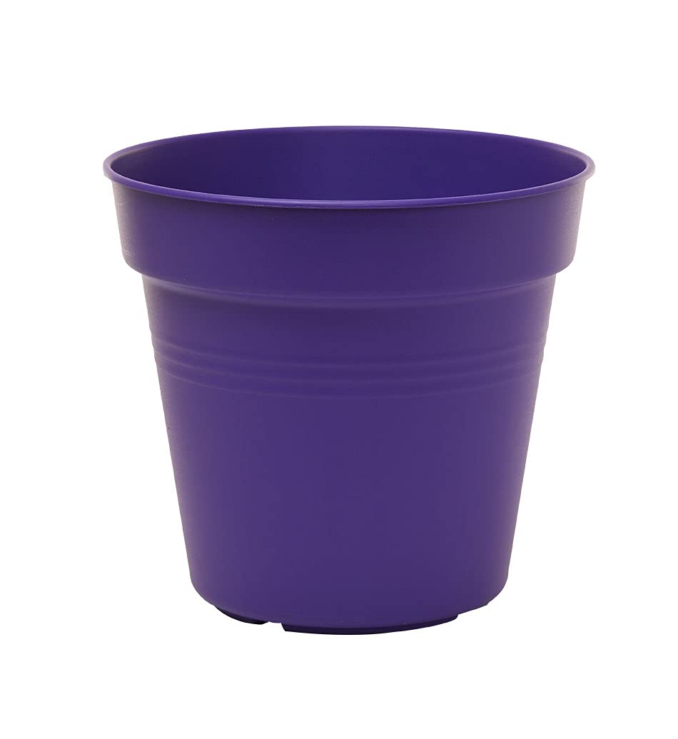 Mintra planters with built-in drainage holes for healthy drainage