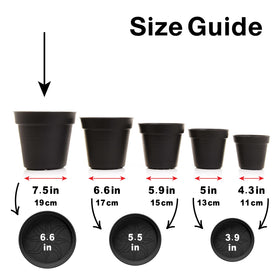 Lightweight Mintra plastic planters for easy relocation