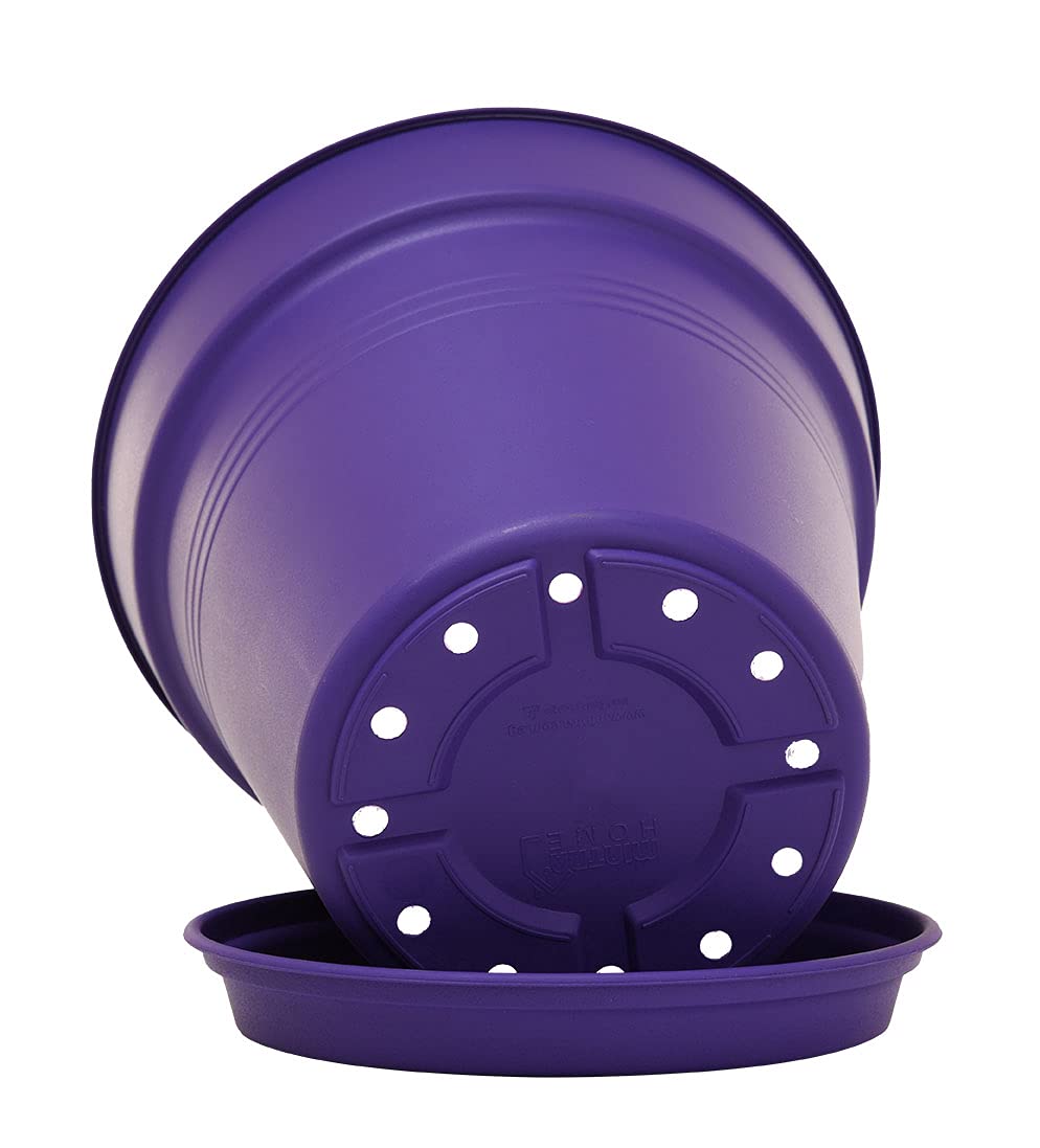 Mintra plastic planter with drainage tray for easy watering