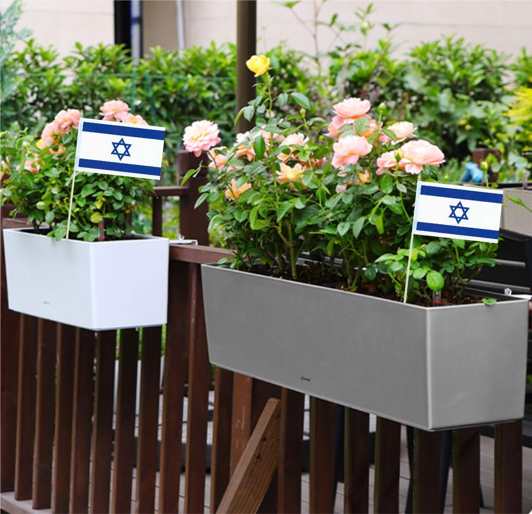 Minvoole 20-pack Israel flags—great value for bulk events.