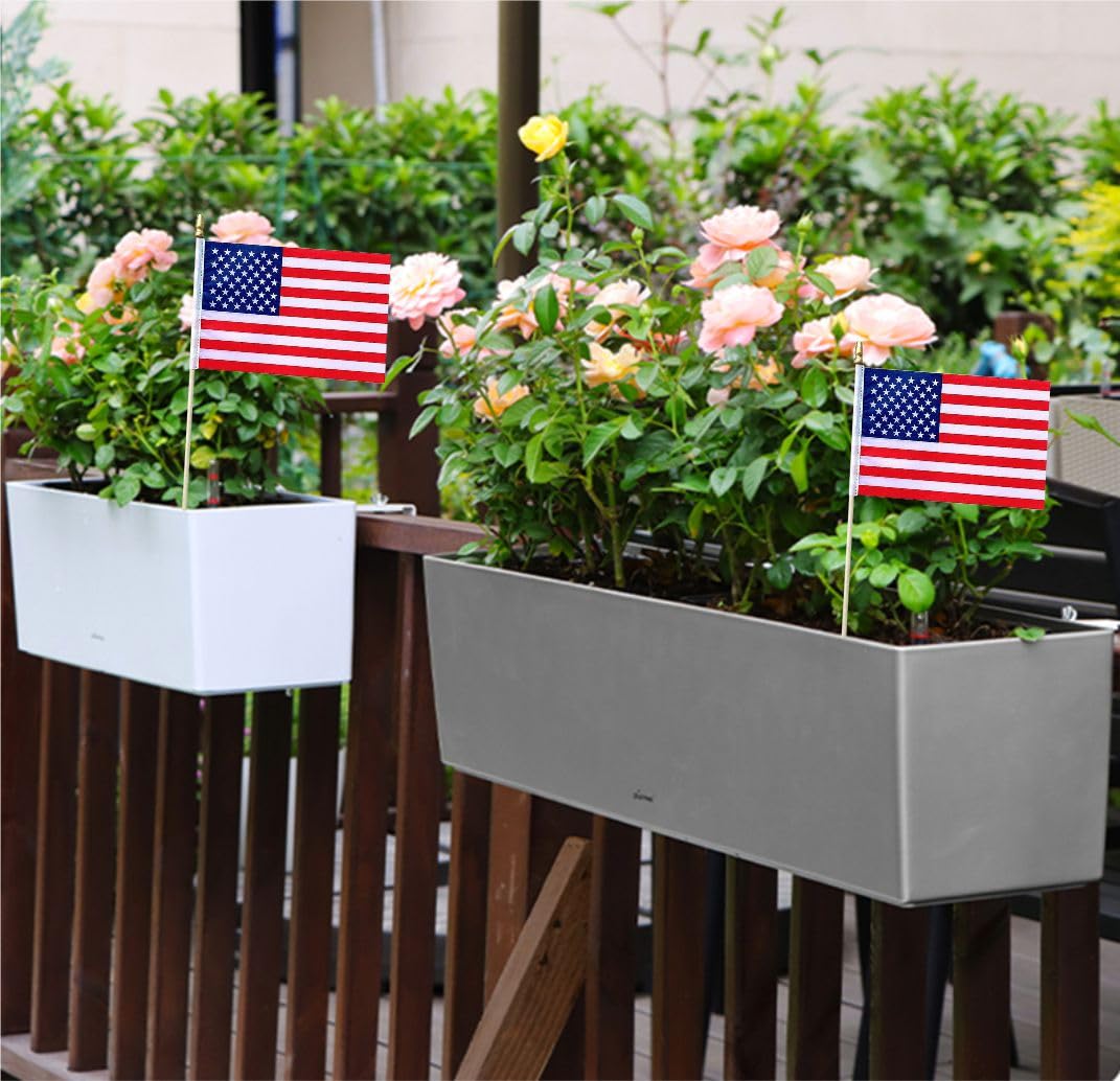 Minvoole 5x8 inch flag is compact for desks or hands.