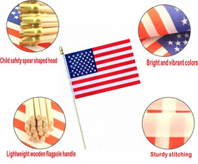 Minvoole flag with separate wooden pole, easy assembly for events.