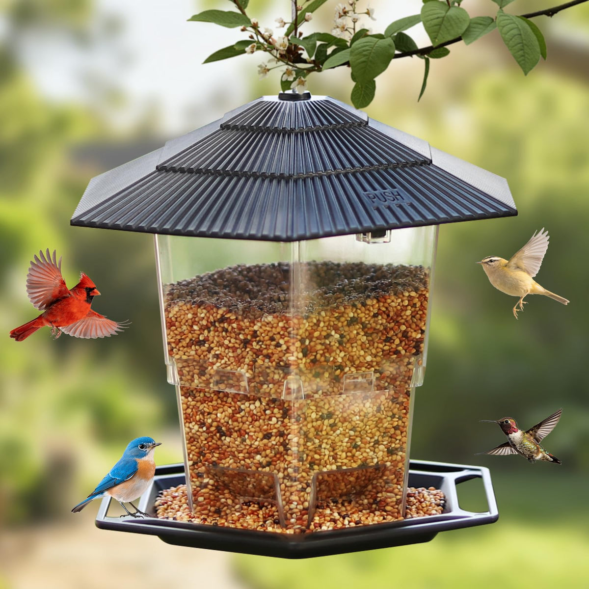 MINWOLF outdoor hanging bird feeder attracts bluebirds and finches