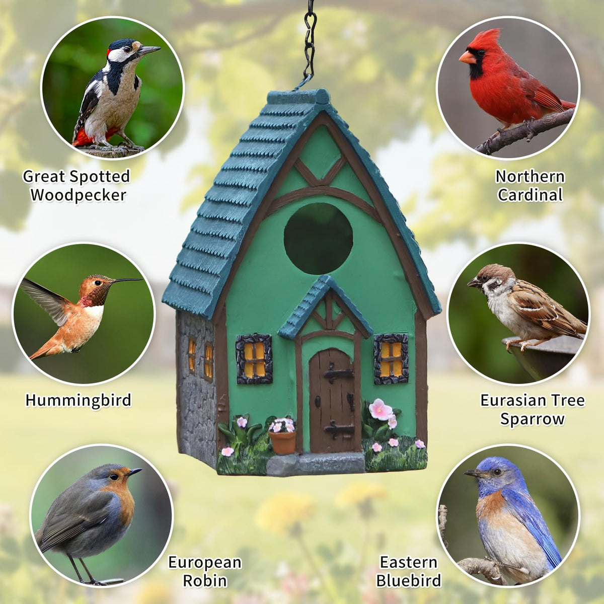 MINWOLF bird house with one-and-a-half-inch entrance for tiny species