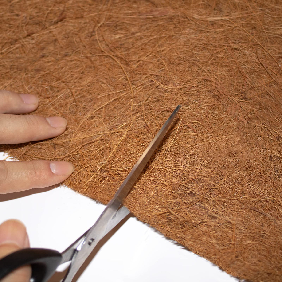MIOHNAN coir fiber liner as moss pole insert supports climbers.