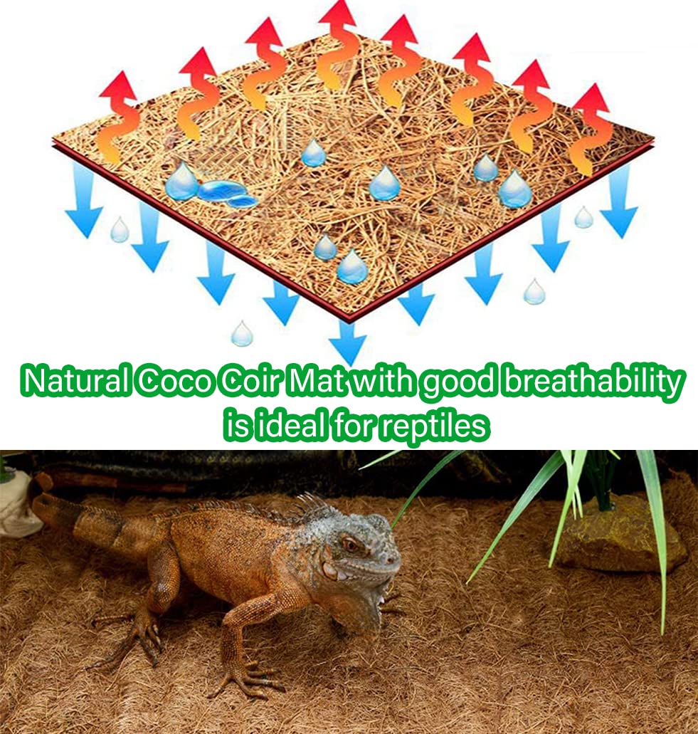 MIOHNAN eco-friendly coco liner promotes healthy root growth and drainage.