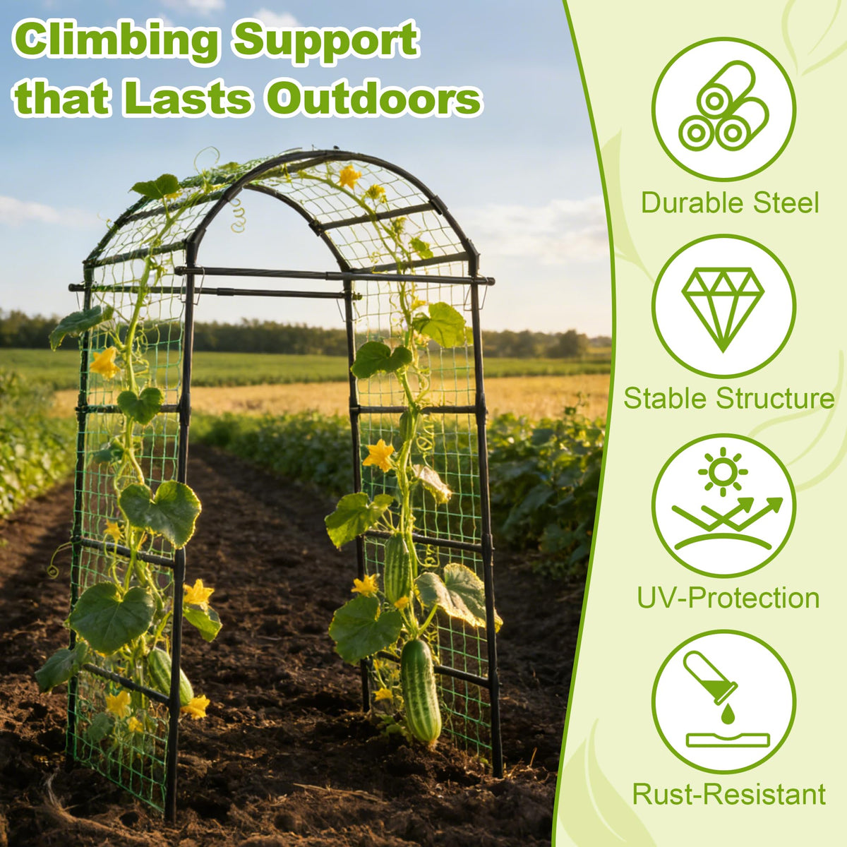 Miory arch's walk-through design provides easy pruning and harvesting
