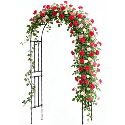 Miory garden arch trellis front view, sturdy steel frame supporting climbing plants.