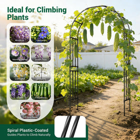 Miory garden arch trellis supports vibrant vines and flowers.