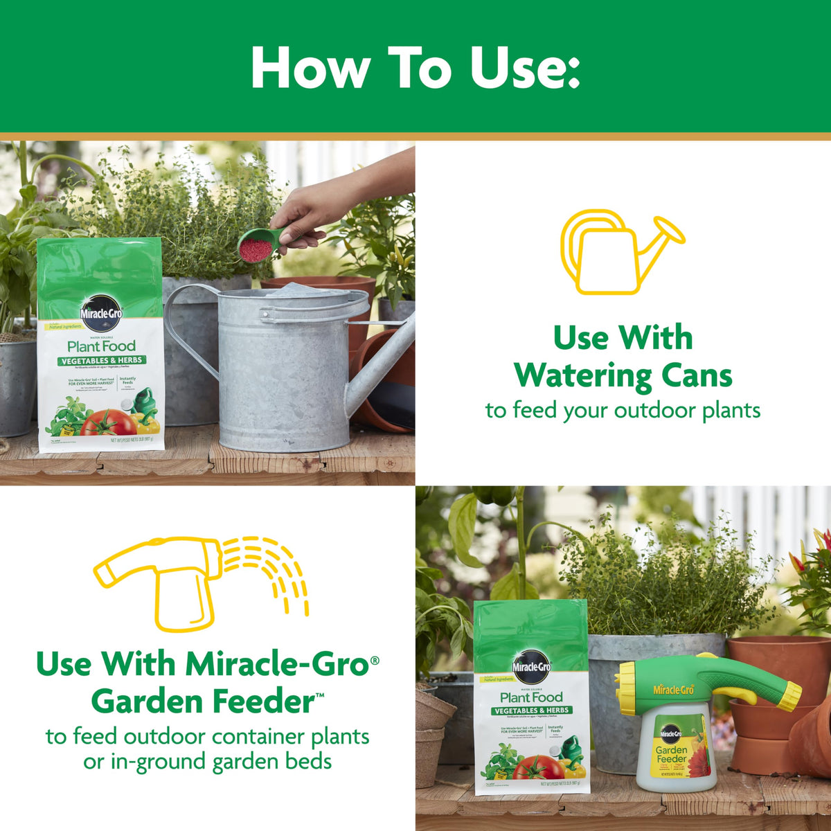 Basil and other herbs receiving Miracle-Gro nourishment