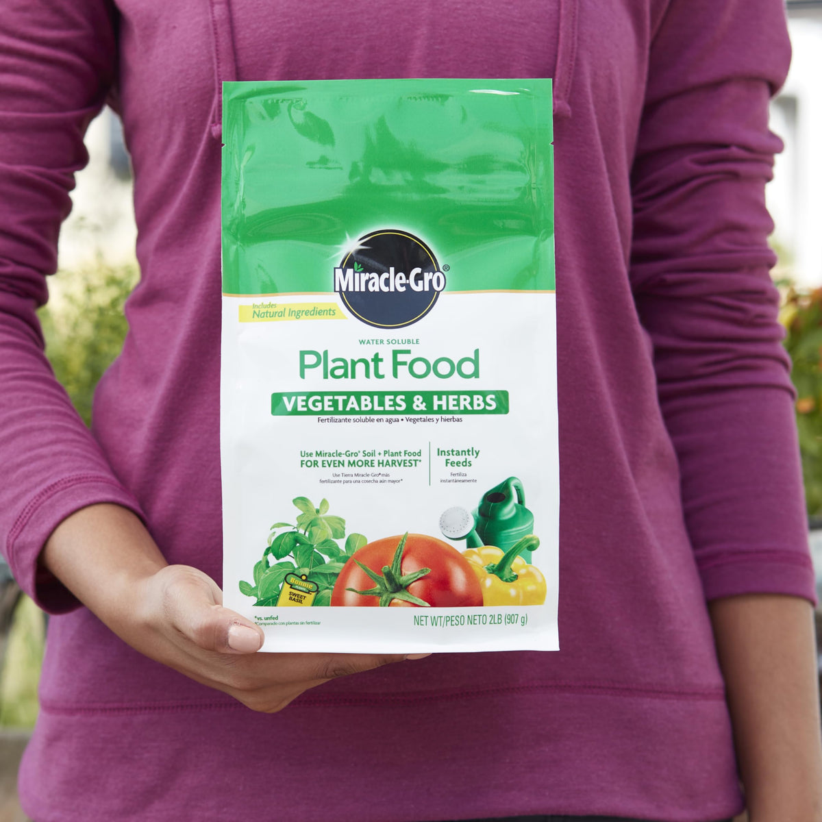 Dissolving Miracle-Gro plant food in water before feeding soil