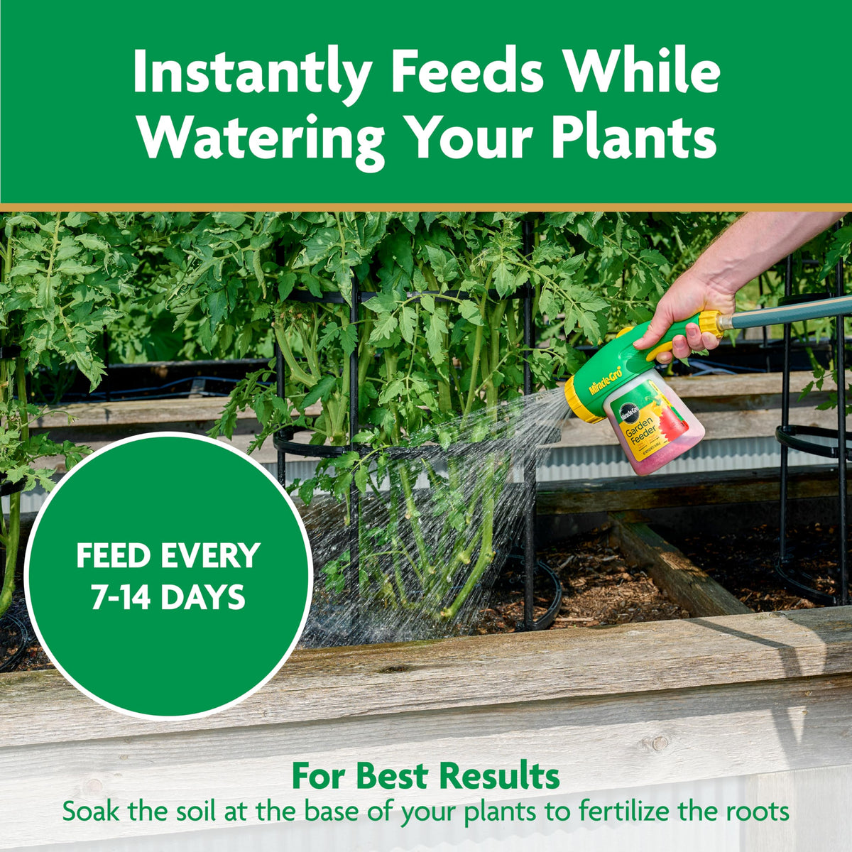 Harvest-ready vegetables nourished with Miracle-Gro plant food