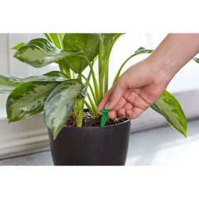 Miracle-Gro indoor plant care scene shows easy, mess-free feeding at home or office
