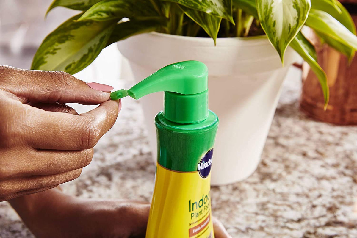 Miracle-Gro Indoor Plant Food label closeup with clear usage directions.